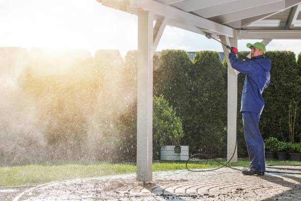 Best Roof Washing  in Smithville, MO